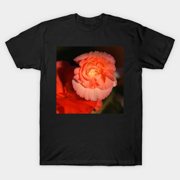 Strongly Pink - Tuberous Begonia T-Shirt by Carole-Anne